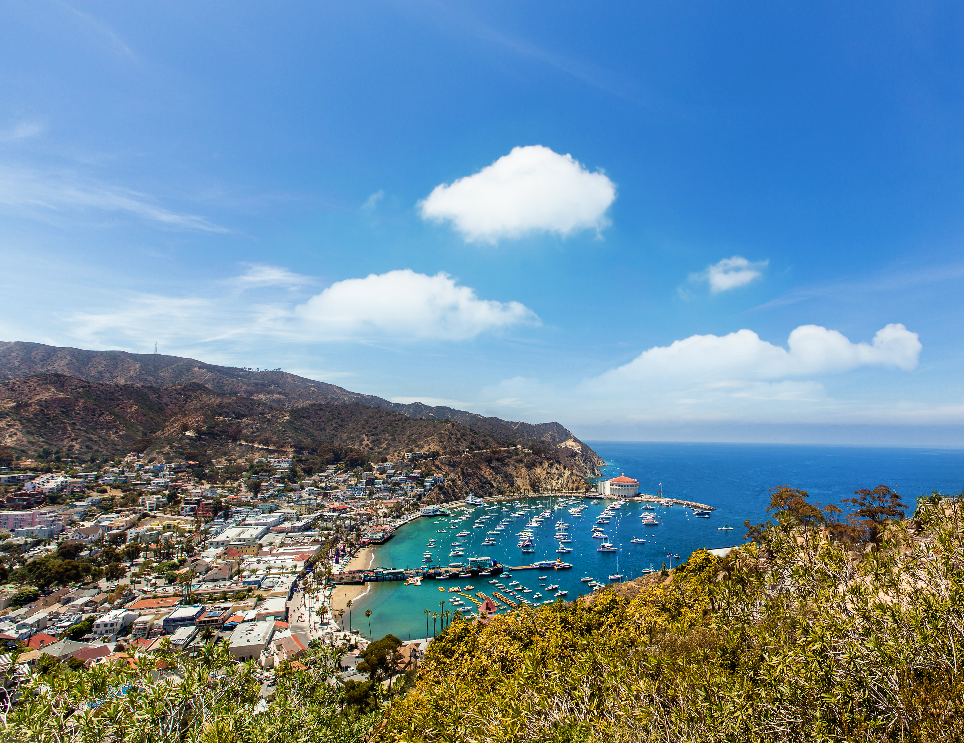 Featured image of post Catalina Island Weather