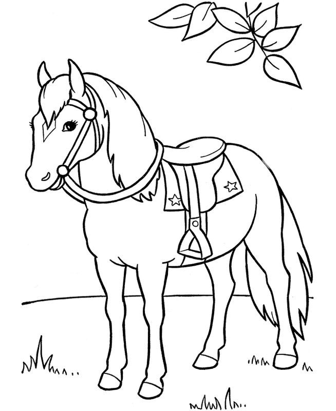 Featured image of post Coloriage De Cheval ? Imprimer