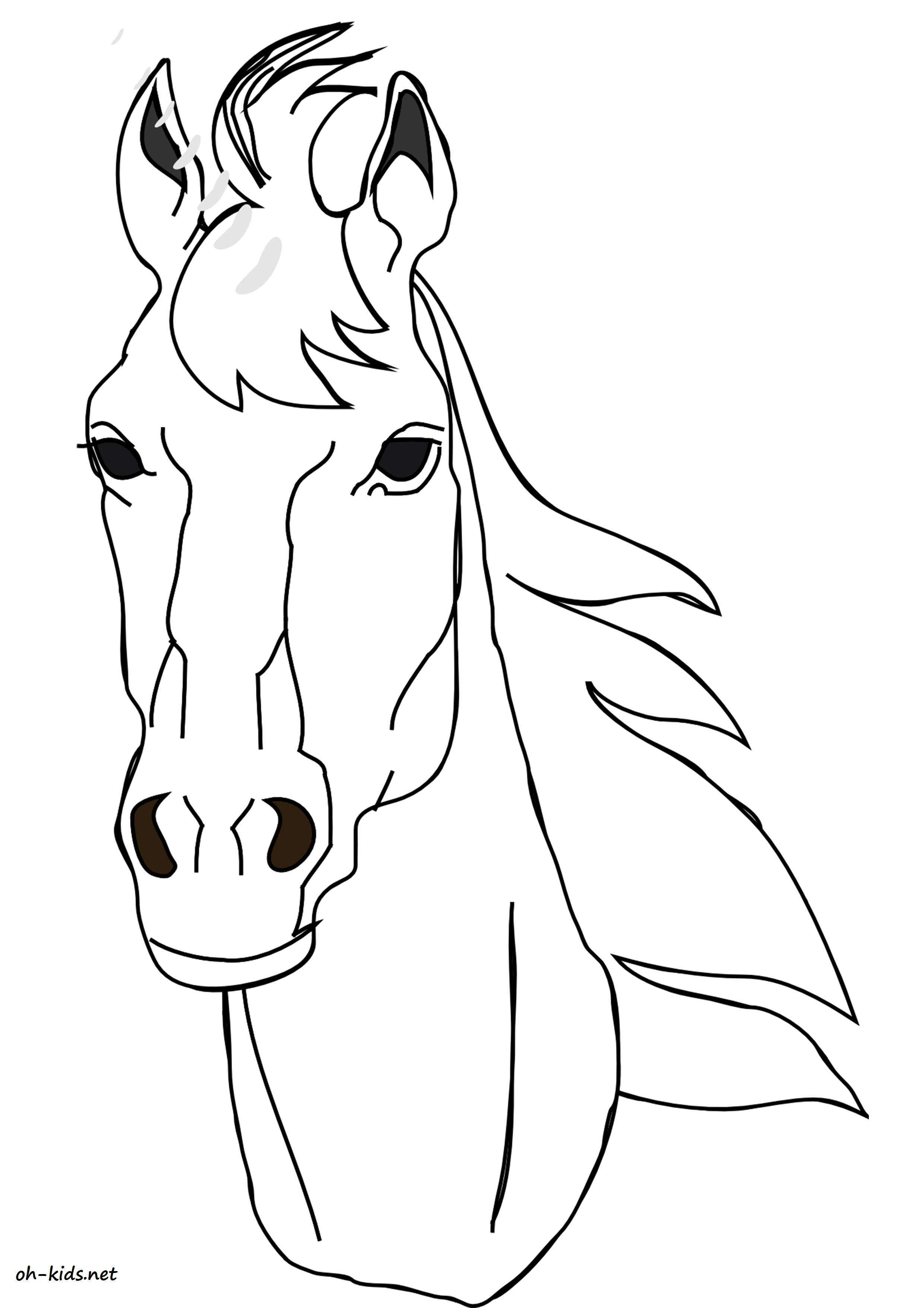 Featured image of post Coloriage Tete De Cheval A Imprimer