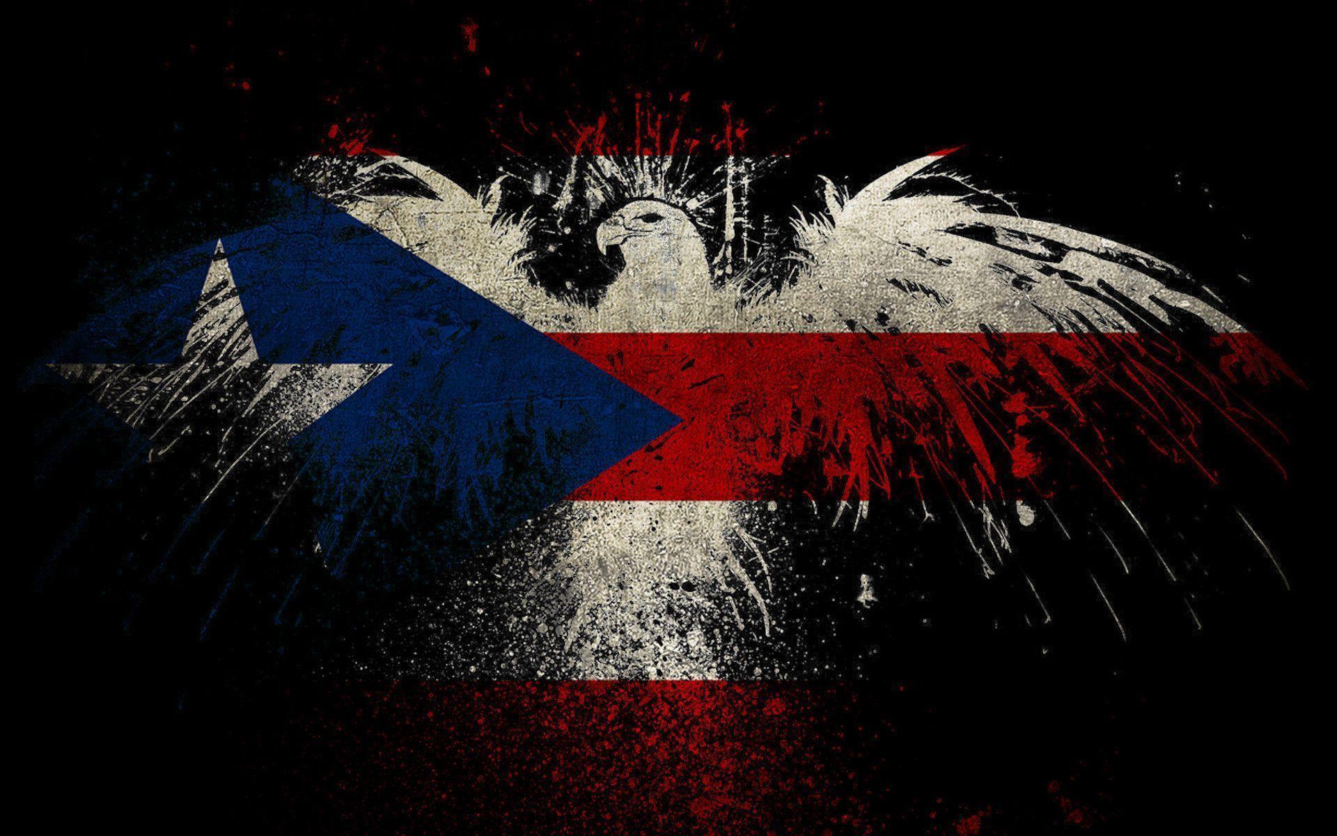 Featured image of post Cool Puerto Rico Flag Wallpaper