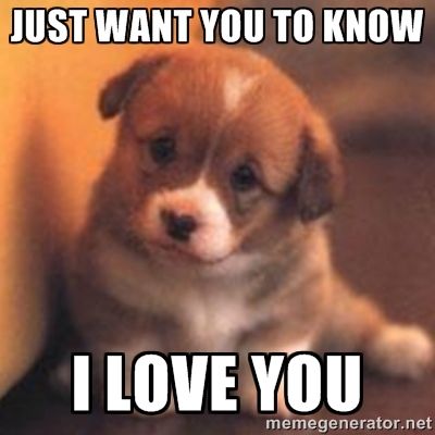 Featured image of post Cute Puppy Memes Love