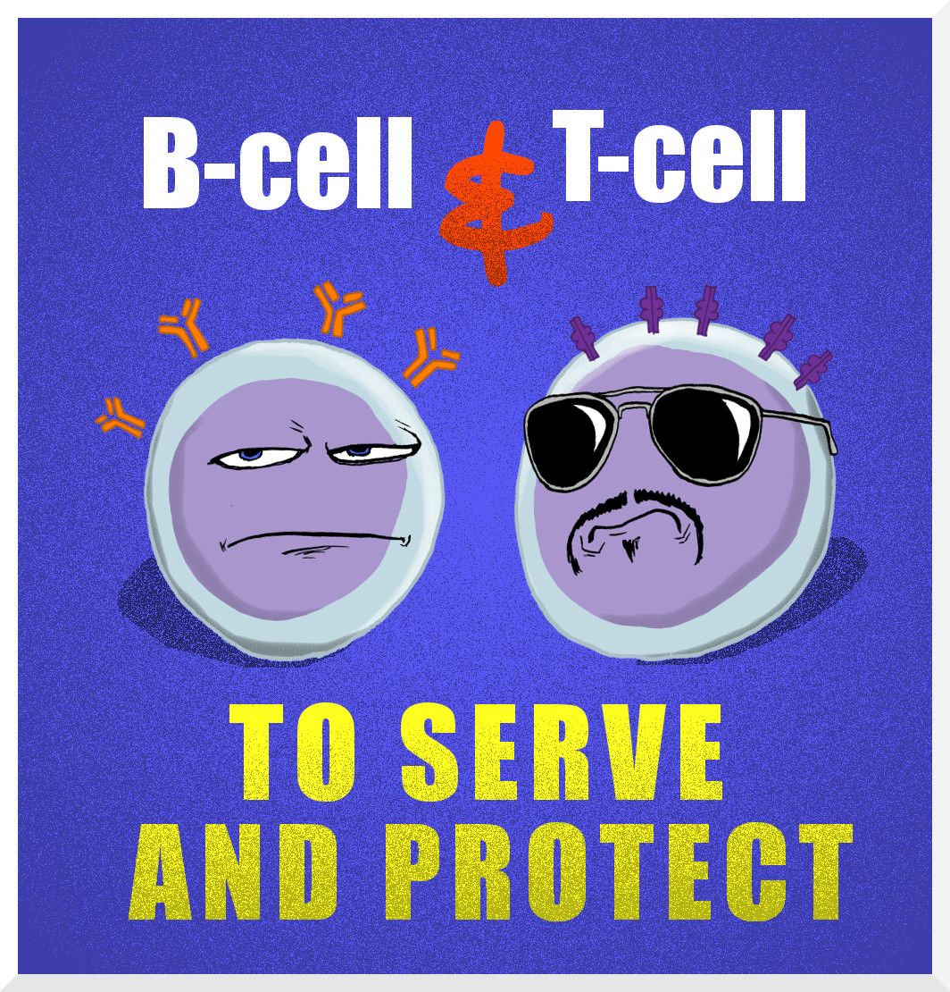 Featured image of post Funny Immune System Jokes