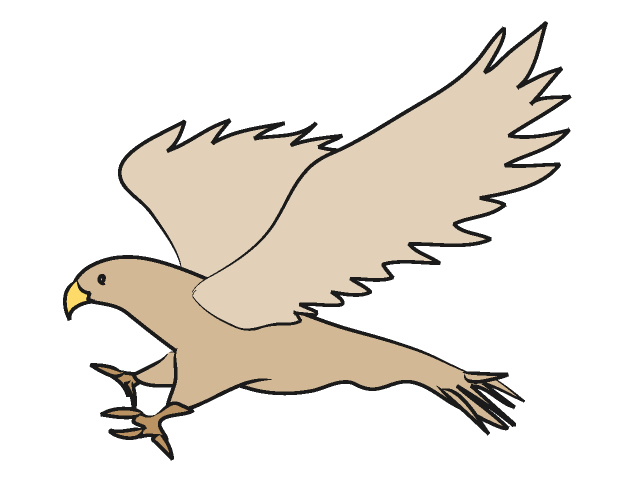 Featured image of post Hawk Images Clip Art