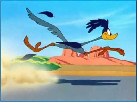 Featured image of post Meep Meep Road Runner Gif