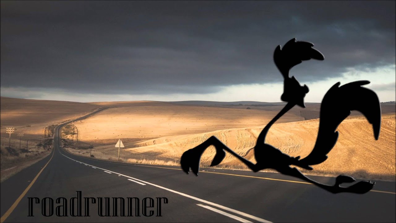 Featured image of post Meep Meep Roadrunner Sound