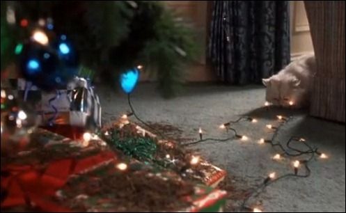 Featured image of post National Lampoon&#039;s Christmas Vacation Cat Gif