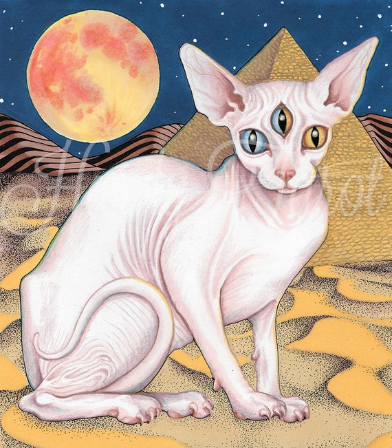 Featured image of post Psychedelic Sphynx Cat Art