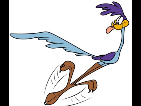 Featured image of post Road Runner Looney Tunes Meep Meep