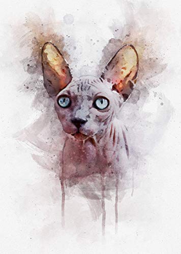 Featured image of post Sphynx Cat Artwork