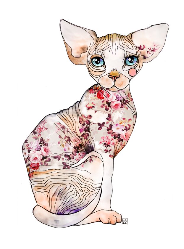 Featured image of post Tumblr Sphynx Cat Art